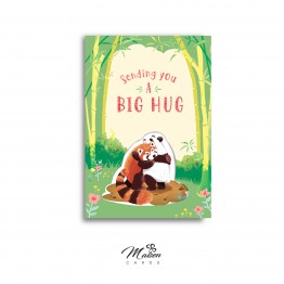 BIG HUG